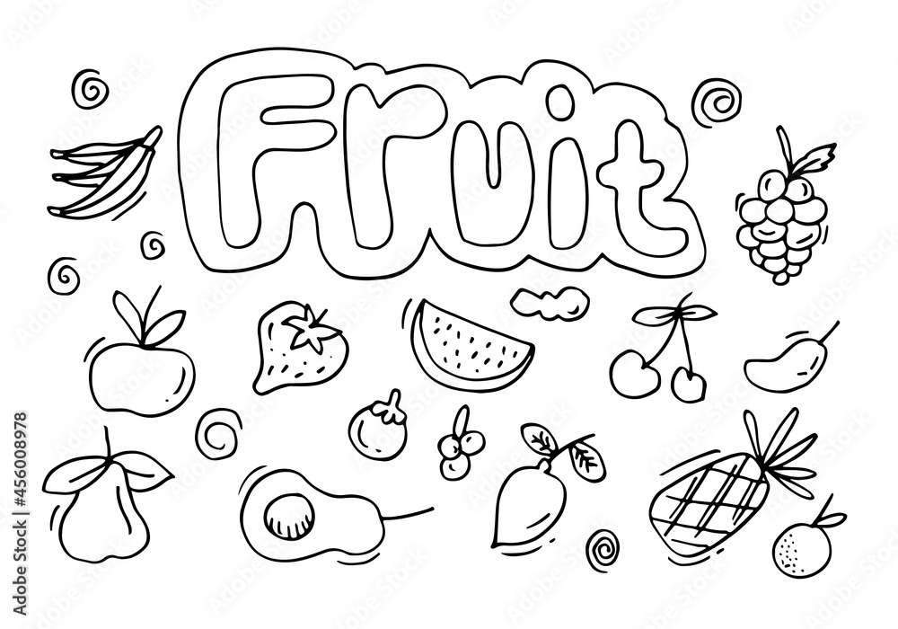 Doodle fruit set. hand drawing of fruits in different styles.