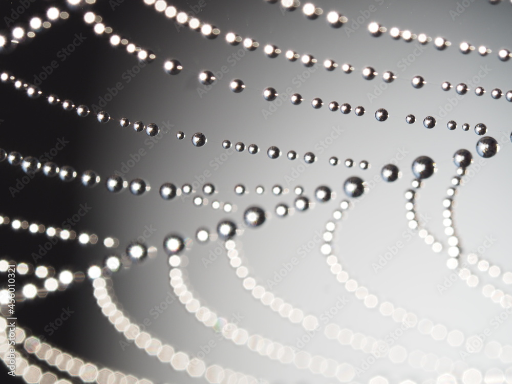 dew on the web dew on the web