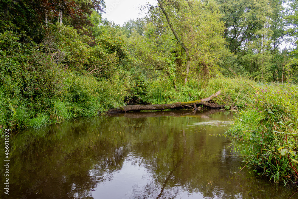 The fast-flowing river called The fast-flowing river called
