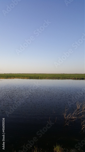 Pond with regular and smooth view