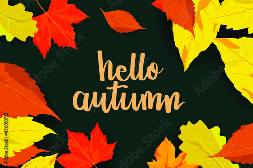 Autumn leave frame with hand writing. Vector illustration of September and Autumn card with fall leave.Thanksgiving greeting card