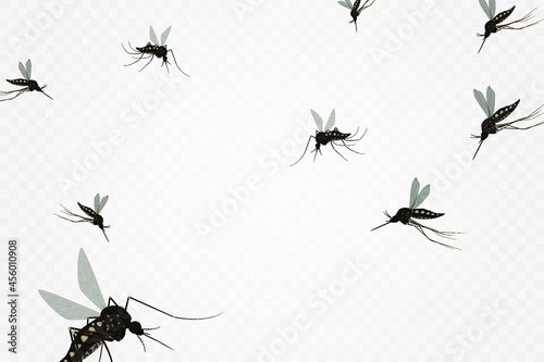 Isolated mosquito white background. Realistic dengue mosquito in vector illustration. Design of graphic source for healthcare of fever that mosquito is transmitter © Studio623