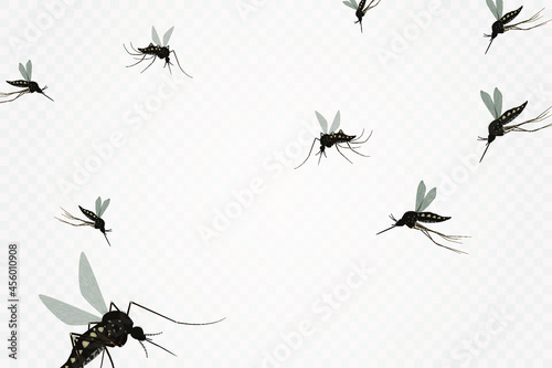 Isolated mosquito white background. Realistic dengue mosquito in vector illustration. Design of graphic source for healthcare of fever that mosquito is transmitter