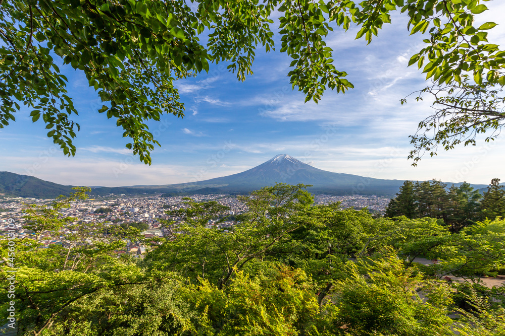 Obraz premium The city of Fujiyoshida city seen from theChureito Pagoda, fujiyosida, yamanashi, Japan - Image