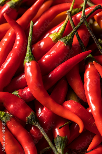 Healthy Organic Thai Red Chili Peppers photo