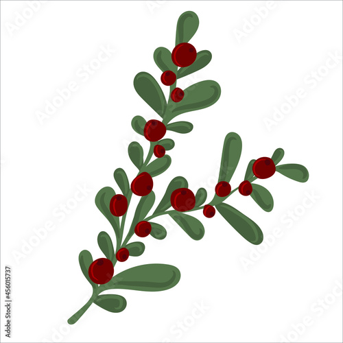 Winter branch with leaves and berries. Christmas floral illustration for invitations, greeting card, textile, fabric, posters.