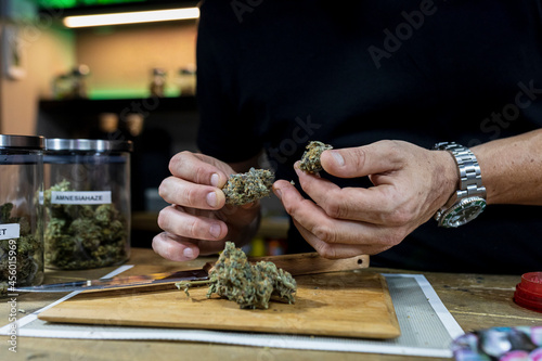 Crop man with dry cannabis flower buds in workspace