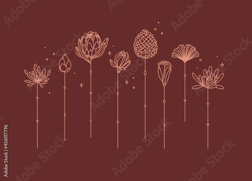 Flowers long stem drawing in art deco style on red background