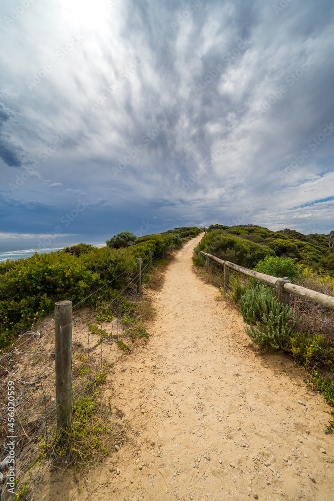 A sandy walking track winding through vegetation under dark cloud formations A sandy walking track winding through vegetation under dark cloud formations