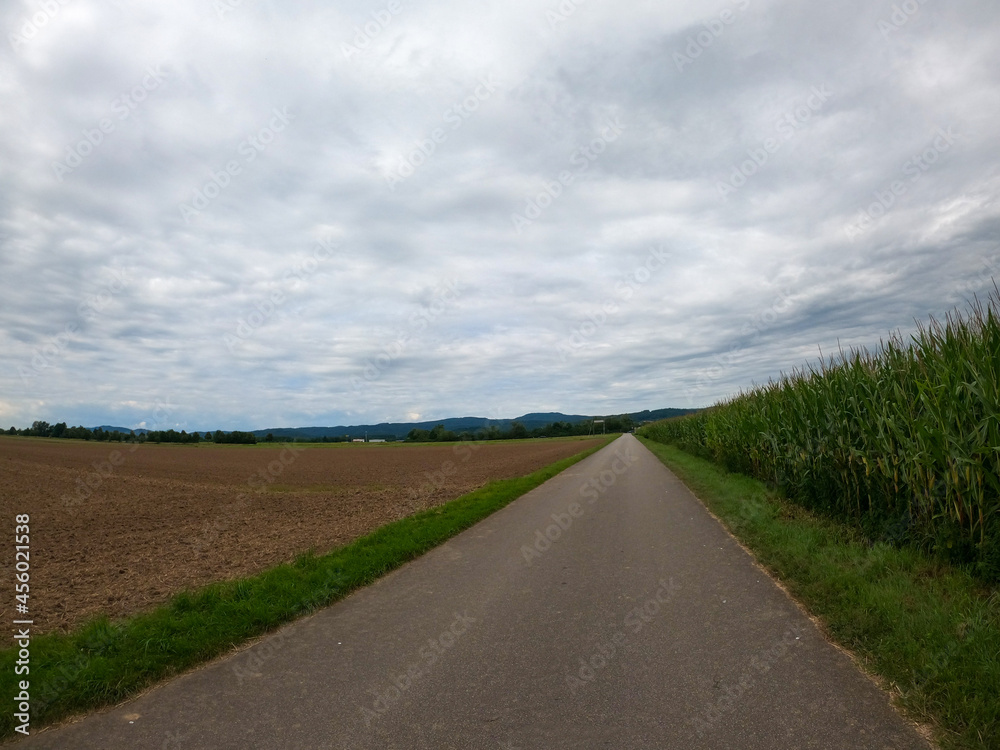 road in the countryside