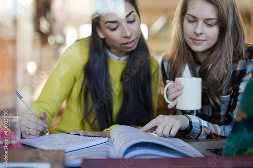 Young female college students studying in cafe