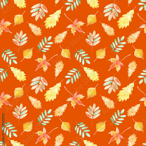 Autumn pictures and patterns in watercolor.