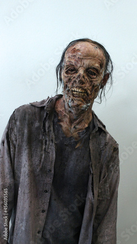 Walking Zombie Decayed #4