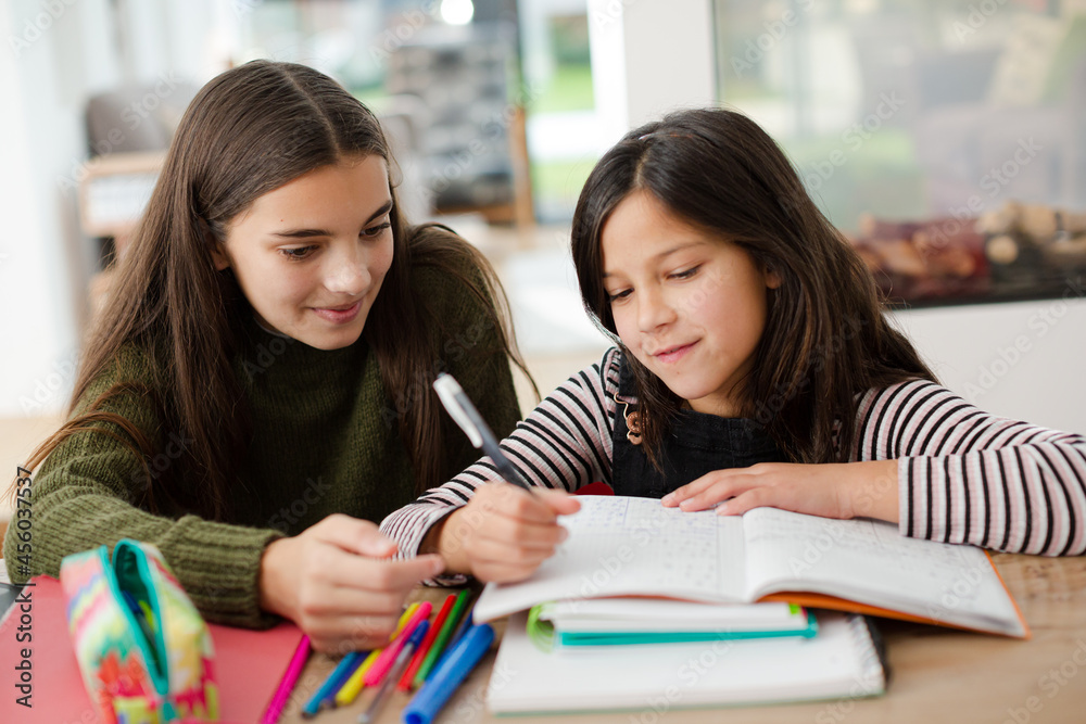 Girl helping young sister with homework