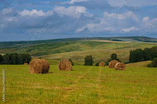 Field bale