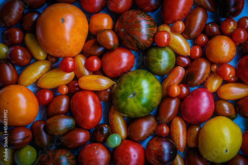 Tomato top view