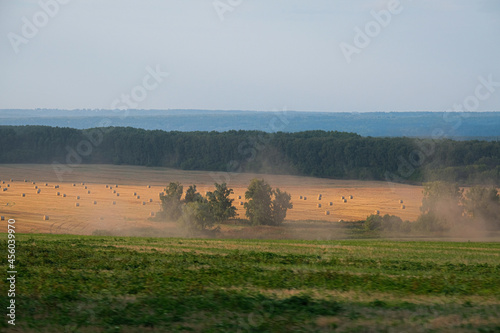 Field road