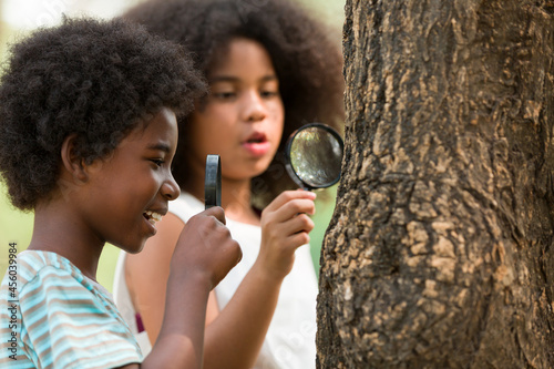 Cuadro en lienzo Boy and girl examining the tree stem through magnifying glass