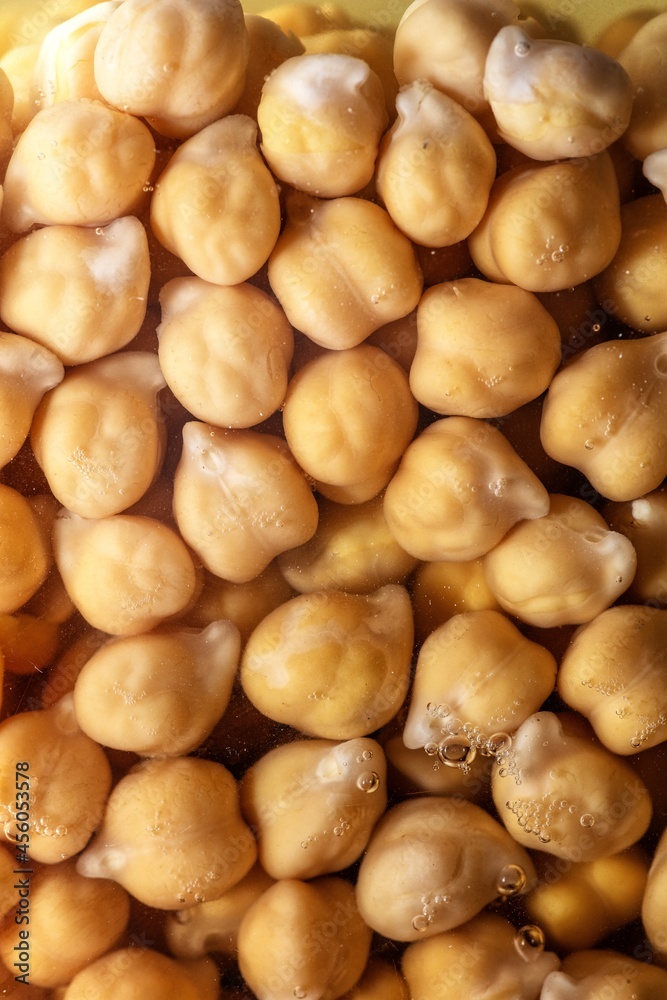 Dry raw chickpeas soaking in water before cooking Dry raw chickpeas soaking in water before cooking