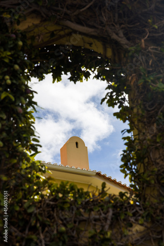 Building view trough dense tree leaves
