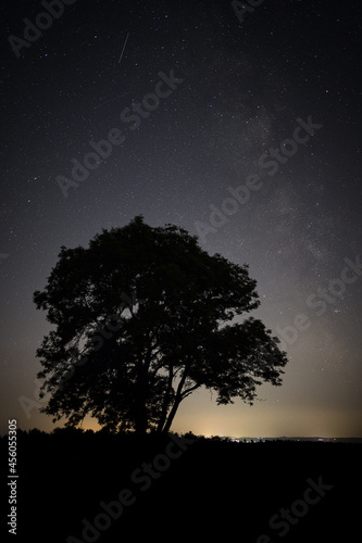 Tree and Milkyway