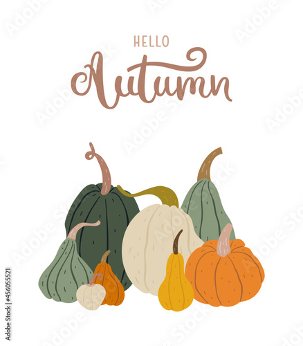 Trendy modern illustration of a collection of pumpkins in natural colors. Doodle drawings. With inscription - hello autumn. For cards, prints, decorations, etc. 