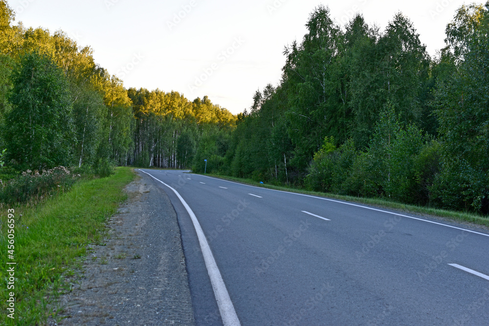 Asphalt high-speed highway in the forest in summer Asphalt high-speed highway in the forest in summer