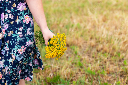 A bouquet of yellow wildflowers in the hands of a girl. Hands close-up. The girl is dressed in a blue dress. She's standing in a field. Summer and the sun
