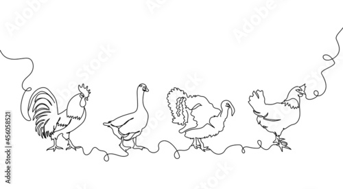 Domestic animals one line set. Continuous line drawing of chicken, rooster, goose, turkey.