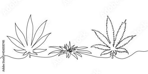 Cannabis herbs continuous line drawing set. One line art of hemp leaves, herb, plants, drug.