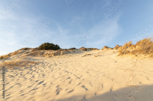 "Doñana" is a Spanish protected natural area located in the provinces of Huelva, Seville and Cadiz, Andalusia, comprising both the "Doñana National Park and the Doñana Natural Park".