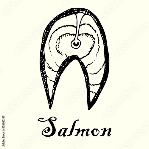 A piece of raw fresh fish steak of red fish salmon isolated on white background, vector illustration,
