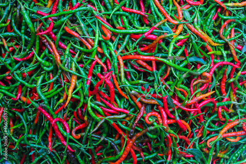 Fresh curly red and green chilies (Cabai Merah Keriting) harvested from fields by Indonesian local farmers. Selective focus of Hot chili pepper stock images. Agriculture background. © Jamaludinyusup