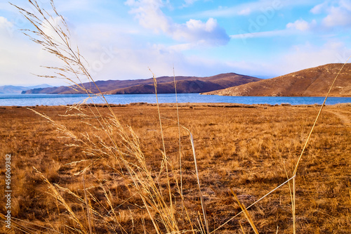 Nature landscape with golden field, wather, hills and blue sky with white clouds in a day or a evening photo