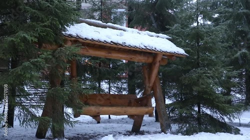 Empty wooden swing in park. Snow falling on evergreen sprucetree background photo