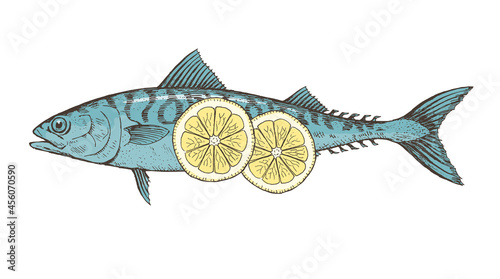 Sea fish mackerel with lemon on a white plate. Cooking delicious food. Vector isolated illustration hand drawn