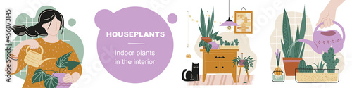 Home plants. Indoor plants in the interior. Plant care. Image set. Vector image.