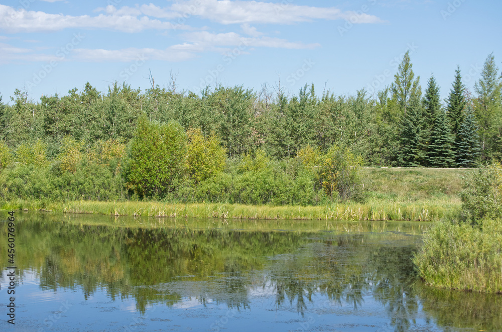 Pylypow Wetlands in Late Summer