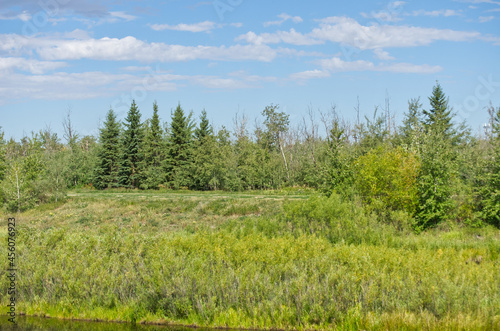 Pylypow Wetlands in Late Summer