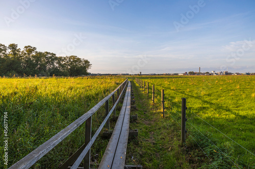 Beautiful nature landscape view. Long wooden pathway through green field merging with blue sky. Sweden. 
