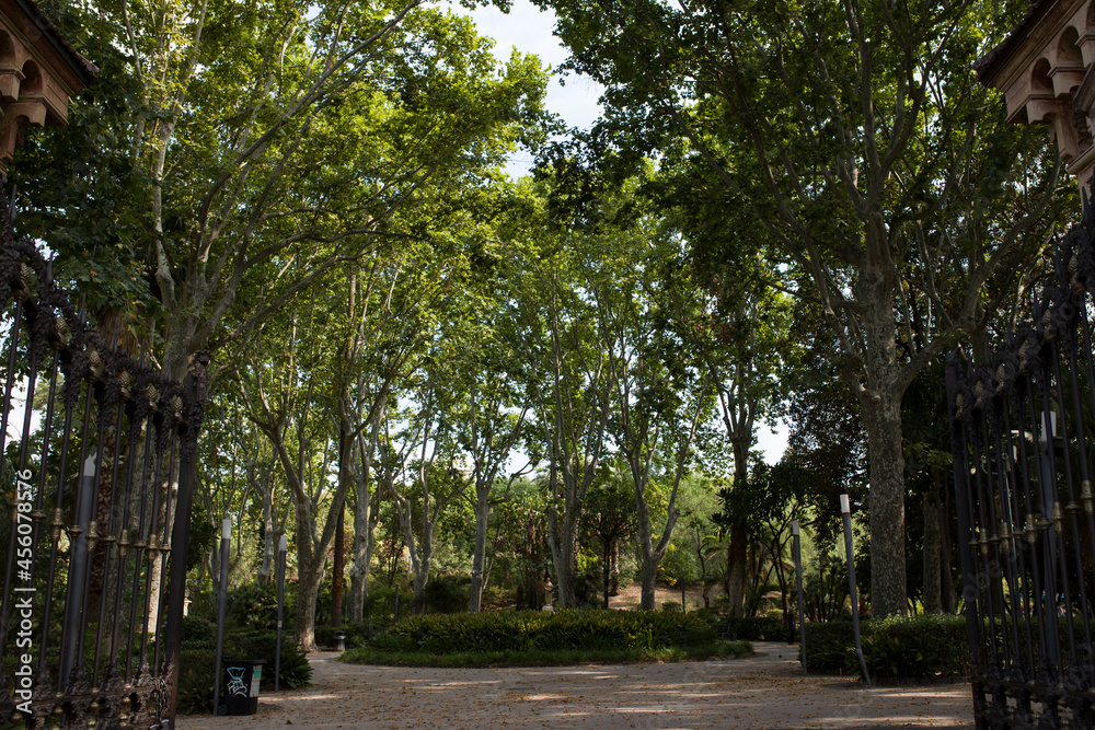 Wejście do parku pełnego wysokich drzew.