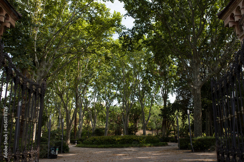 Wejście do parku pełnego wysokich drzew.
