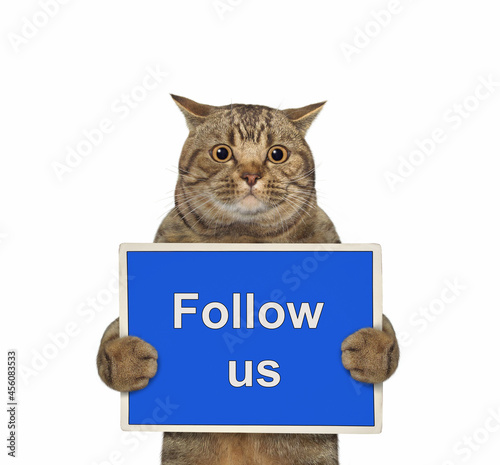 A beige cat holds a blue sign that says Follow us. White background. Isolated.