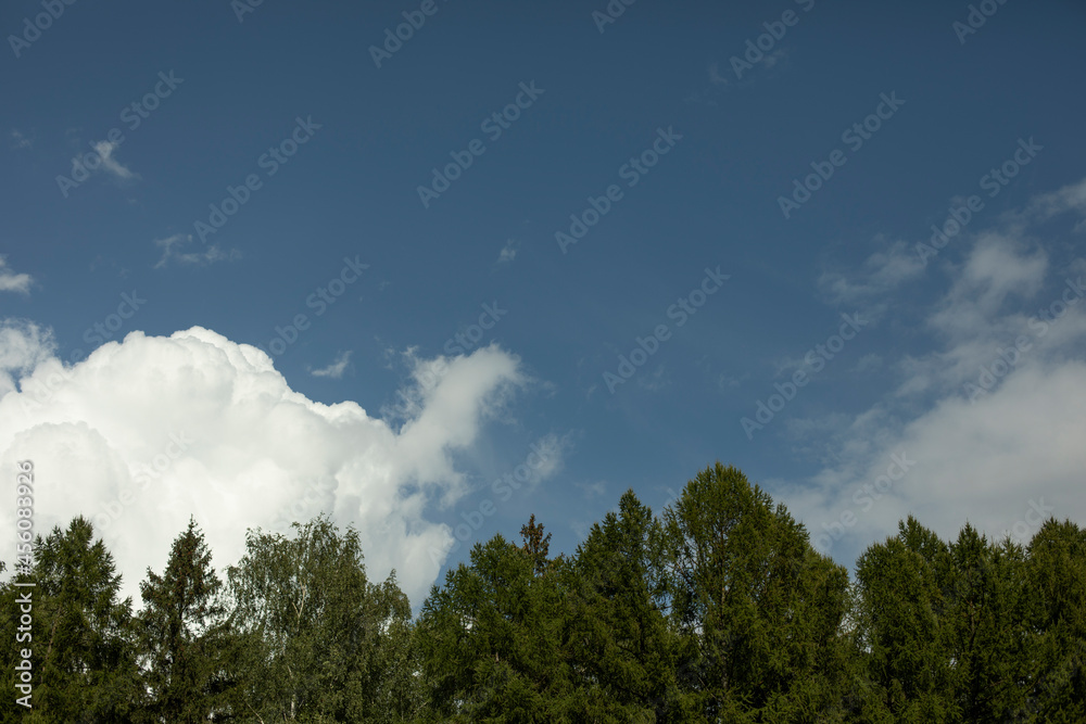 Clouds in the sky. Summer weather. White clouds fly across a vast space. Clouds in the sky. Summer weather. White clouds fly across a vast space.