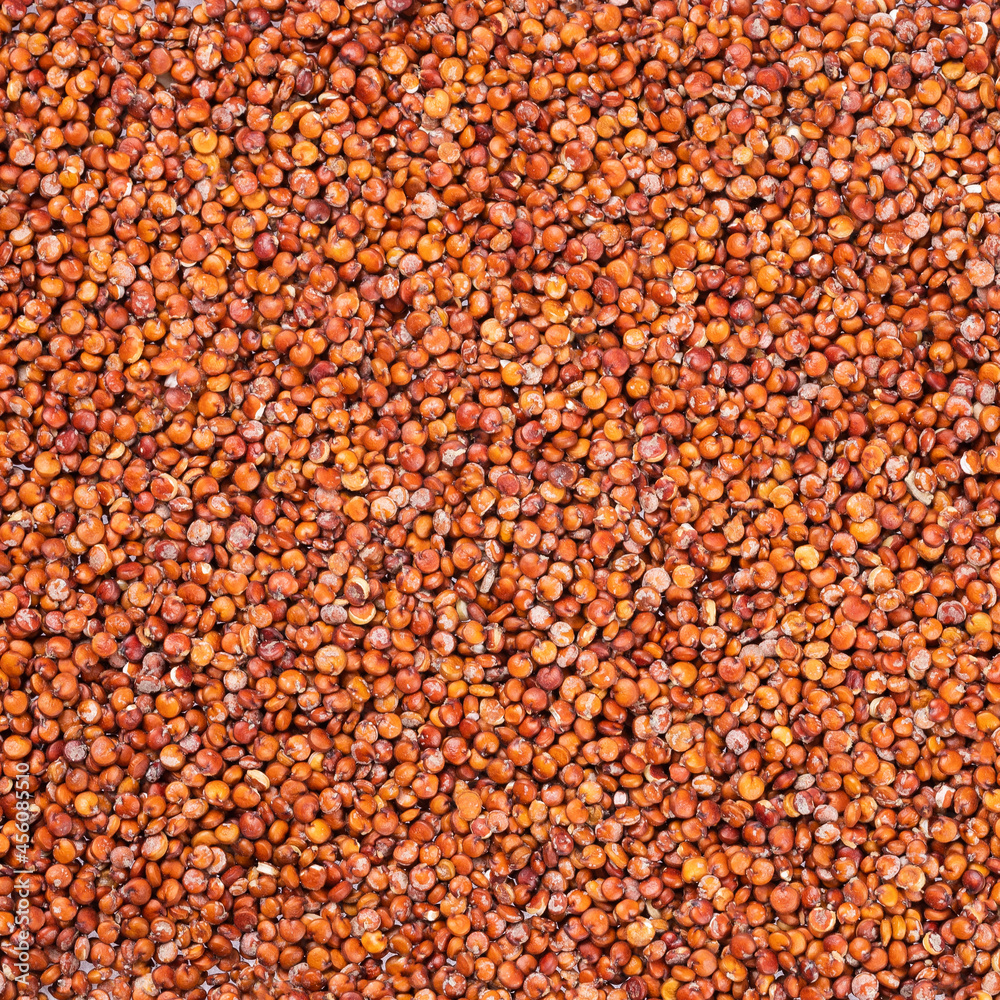 Organic red quinoa seeds - Chenopodium quinoa Organic red quinoa seeds - Chenopodium quinoa