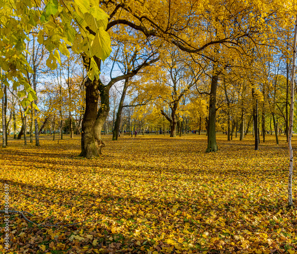 Petrovsky Park is an old park in Kronstadt. The author of the project is the military governor F. F. Bellingshausen. Petrovsky Park is an old park in Kronstadt. The author of the project is the military governor F. F. Bellingshausen.