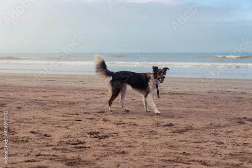 paseo playa