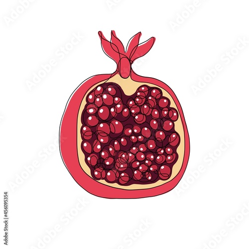 Vector illustration of purified  pomegranate in one line endless style. Red and yellow colours. Isolated on white background. 