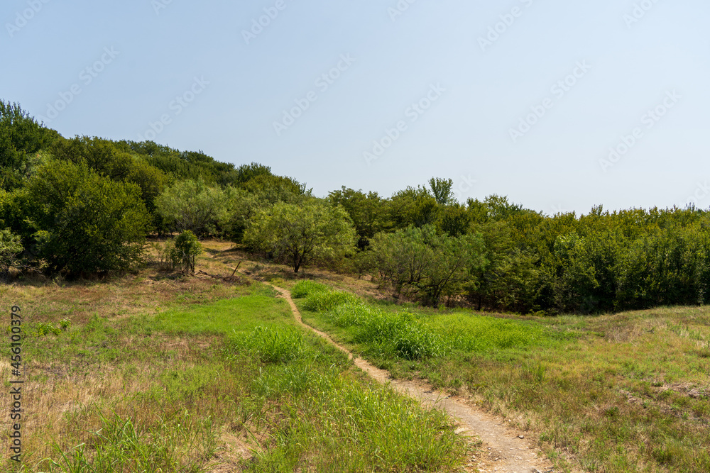 Fototapeta premium road in the countryside