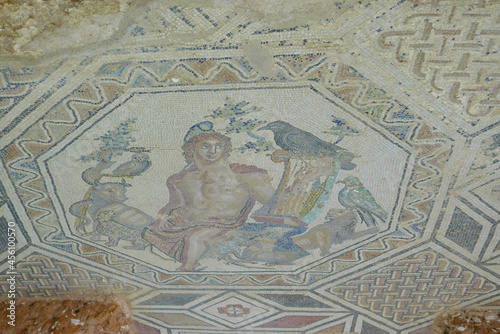 Wallpaper Mural Antique roman mosaic in Porto Torres, Sardinia, Italy Torontodigital.ca